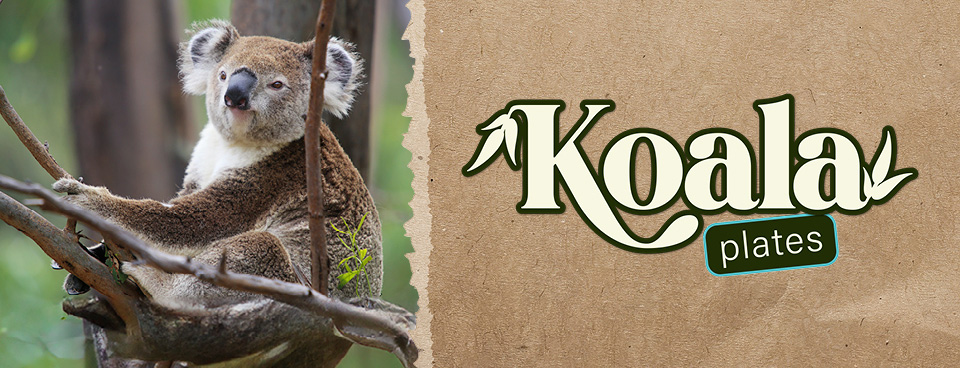 Koala plates to support wildlife rescue and rehabilitation